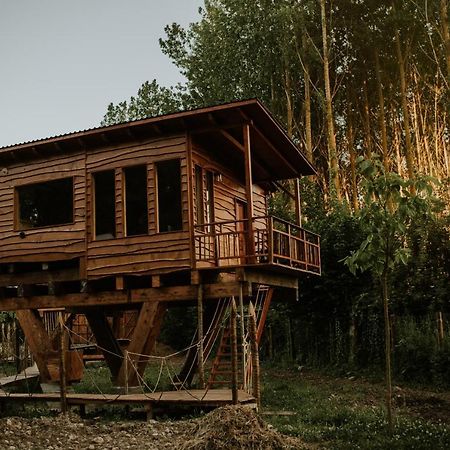 Bonita Cabana De Los Arboles En La Rioja , Durmiendo Entre Arboles Anguciana المظهر الخارجي الصورة
