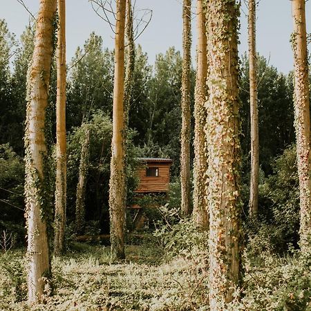 Bonita Cabana De Los Arboles En La Rioja , Durmiendo Entre Arboles Anguciana المظهر الخارجي الصورة