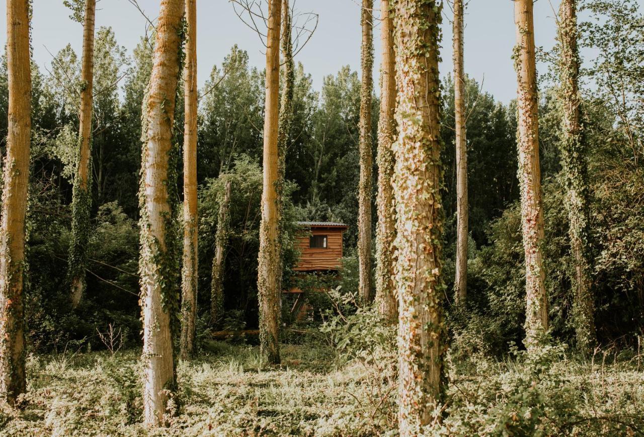 Bonita Cabana De Los Arboles En La Rioja , Durmiendo Entre Arboles Anguciana المظهر الخارجي الصورة