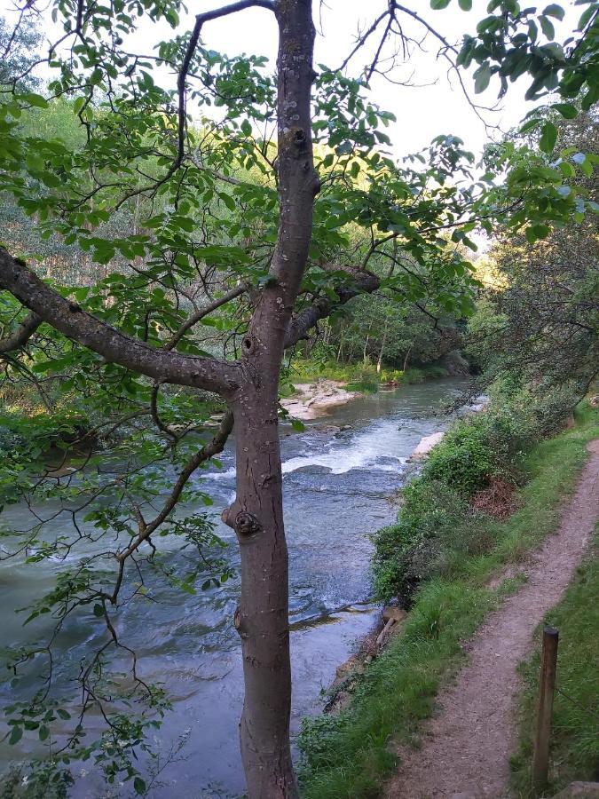 Bonita Cabana De Los Arboles En La Rioja , Durmiendo Entre Arboles Anguciana المظهر الخارجي الصورة