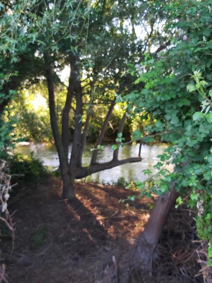 Bonita Cabana De Los Arboles En La Rioja , Durmiendo Entre Arboles Anguciana المظهر الخارجي الصورة